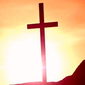 Meet your Posher, Delina